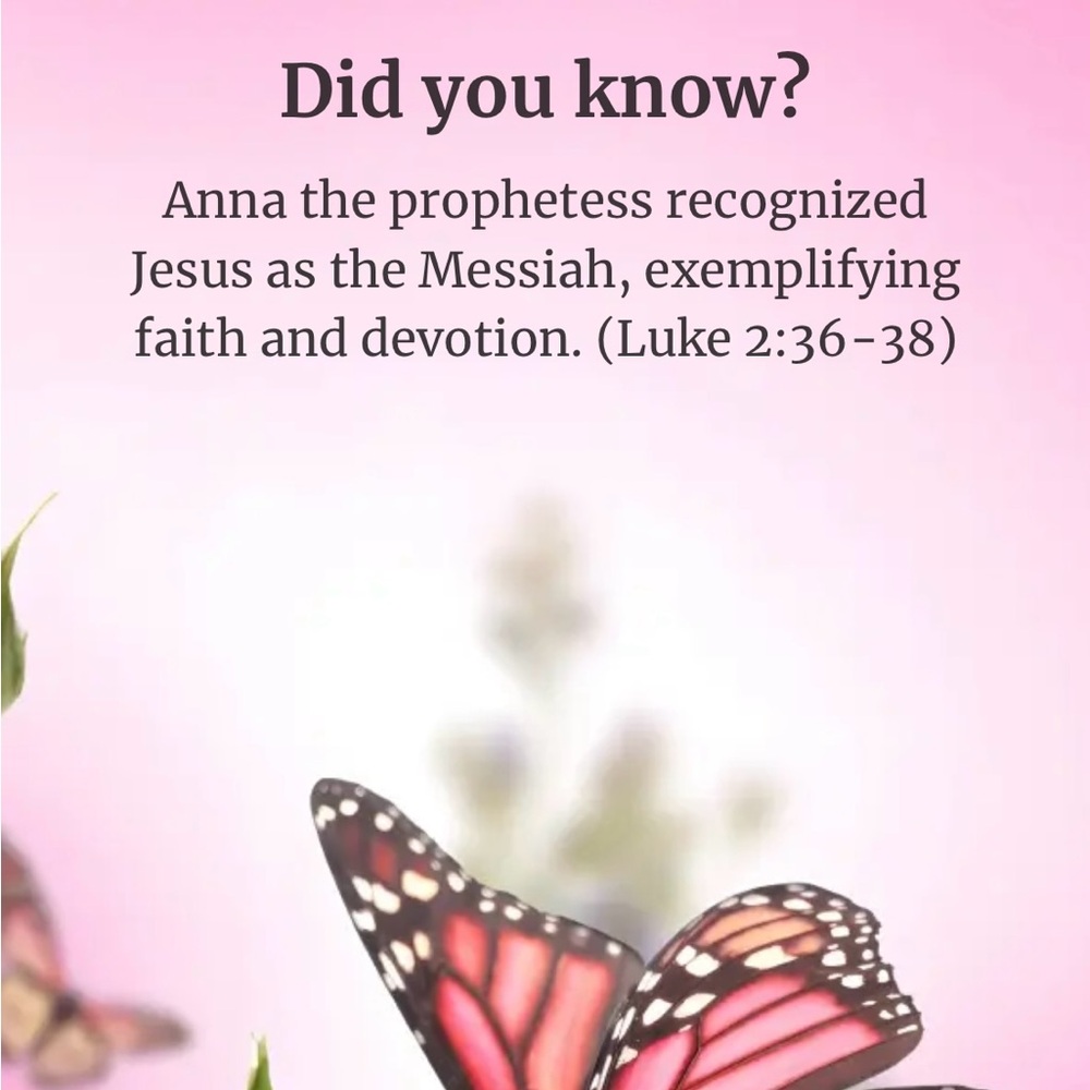 🕊️🕊️